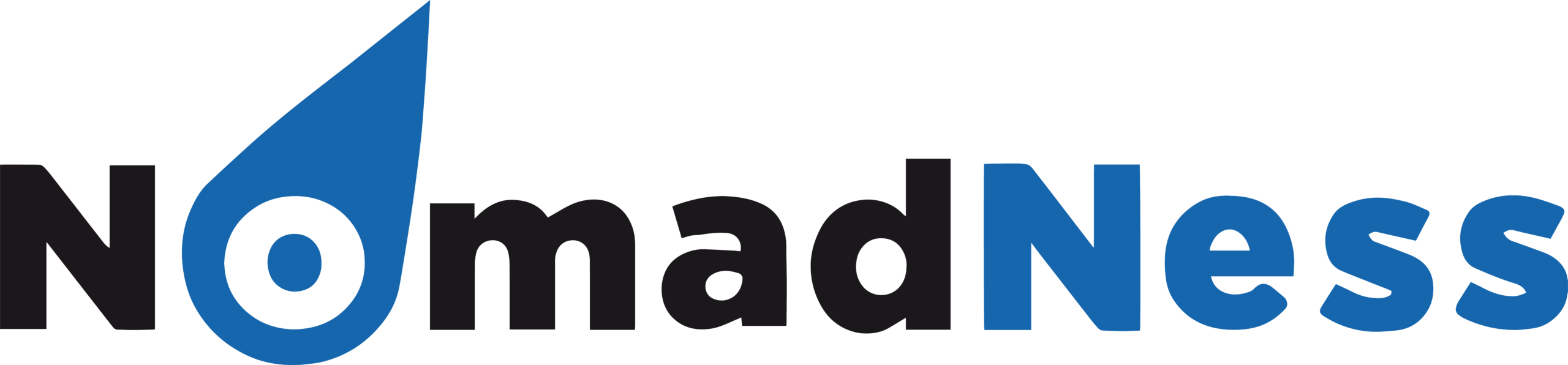 Logo Nomadness Pointe et Serrage lettre ok